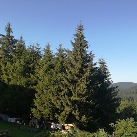 Apartament Kuca Za Odmor "Jasna" Crni Lug Zewnętrze zdjęcie