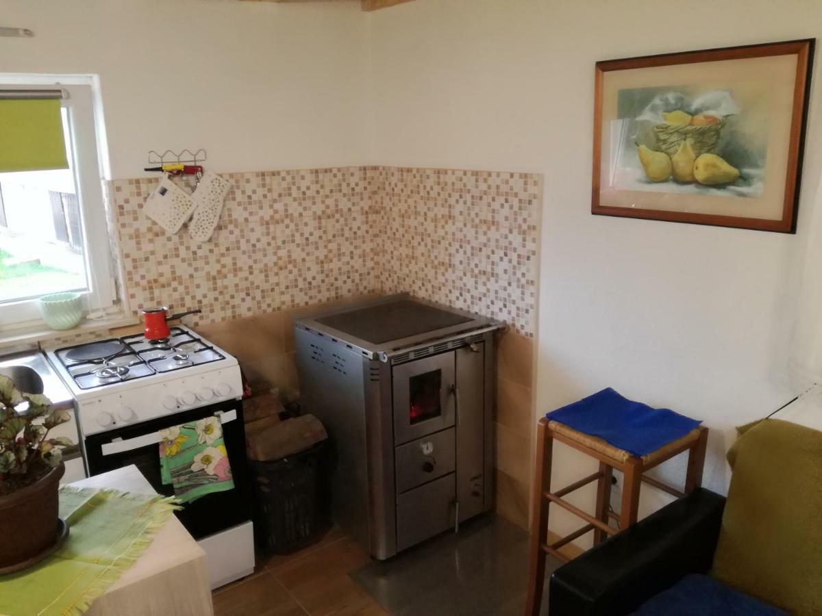 Apartament Kuca Za Odmor "Jasna" Crni Lug Zewnętrze zdjęcie