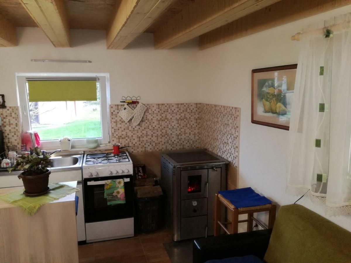 Apartament Kuca Za Odmor "Jasna" Crni Lug Zewnętrze zdjęcie