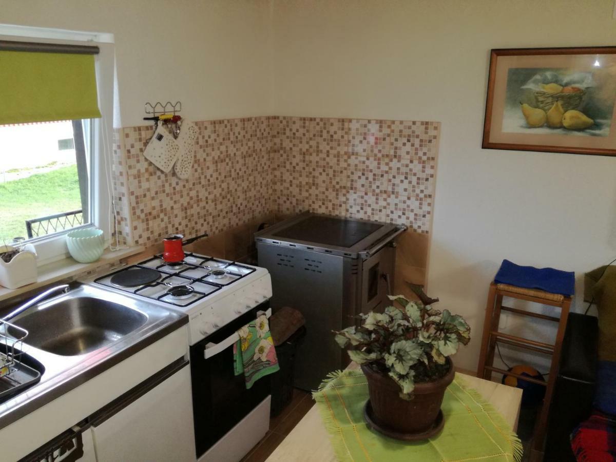 Apartament Kuca Za Odmor "Jasna" Crni Lug Zewnętrze zdjęcie