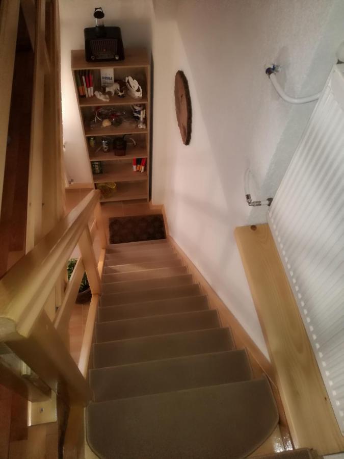 Apartament Kuca Za Odmor "Jasna" Crni Lug Zewnętrze zdjęcie